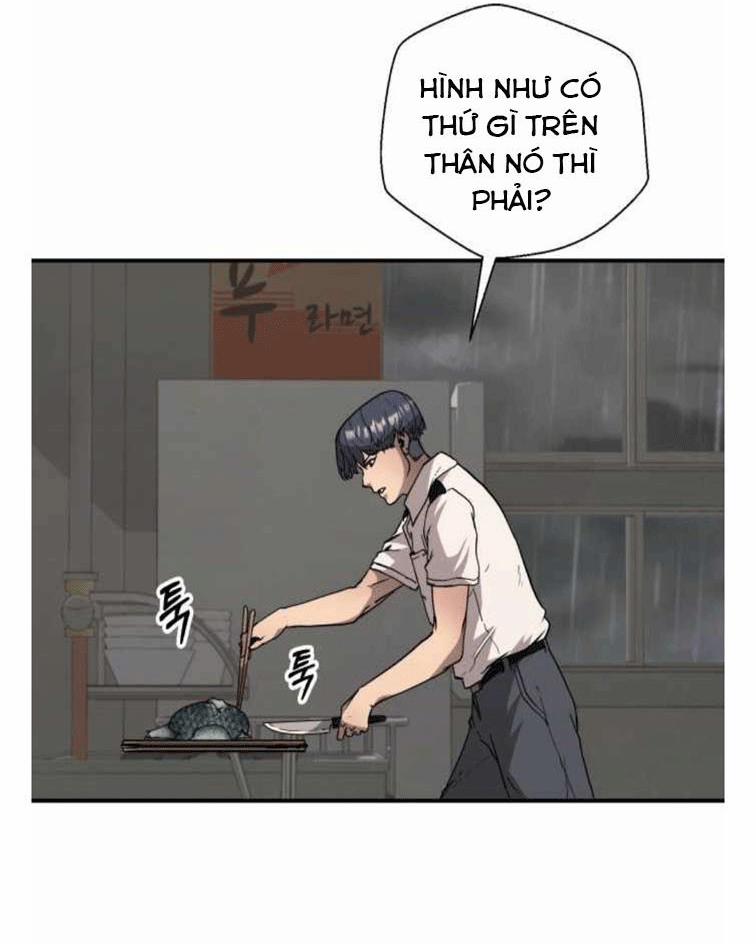 Branacles 1 trang 55