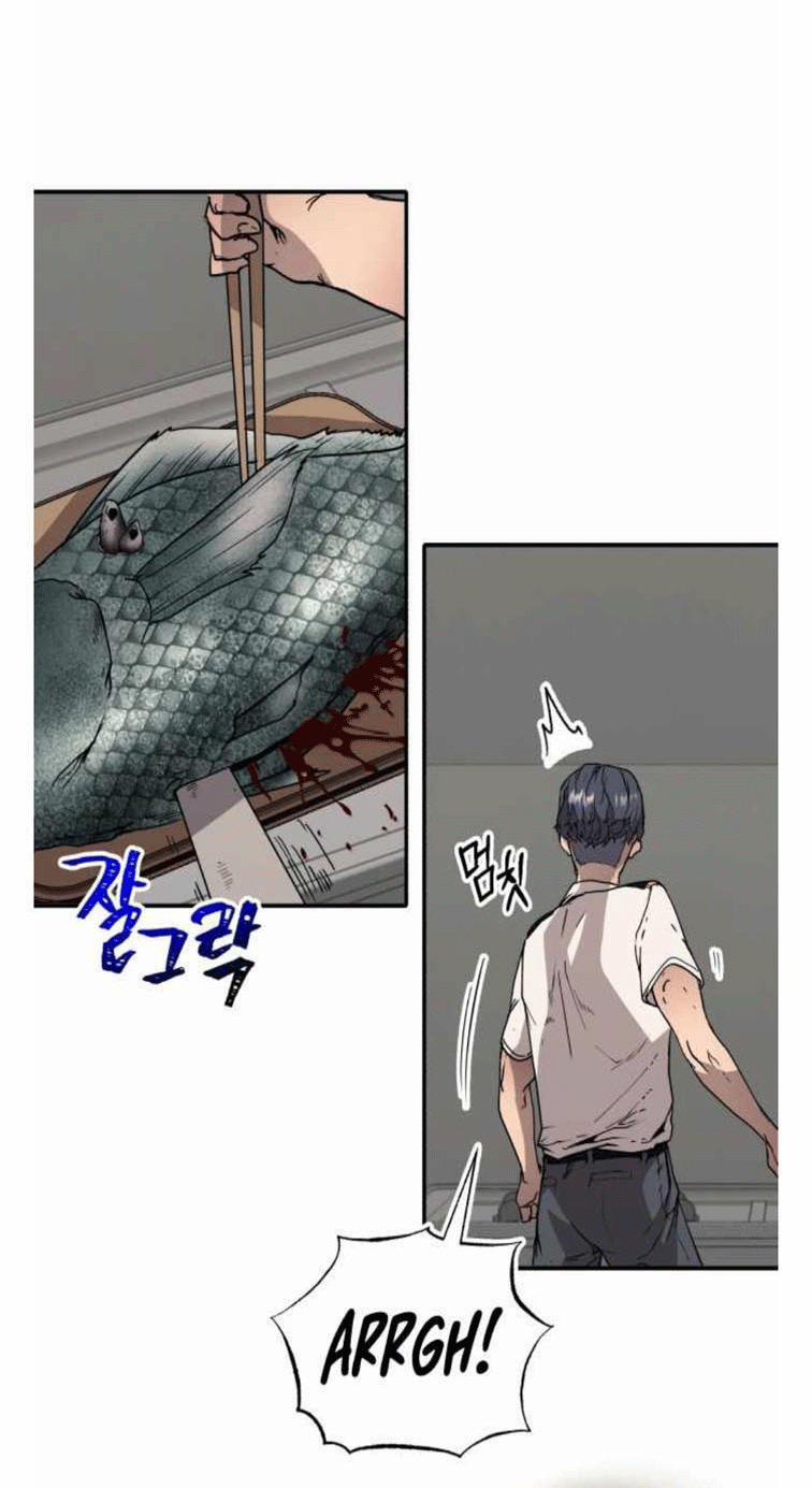 Branacles 1 trang 62