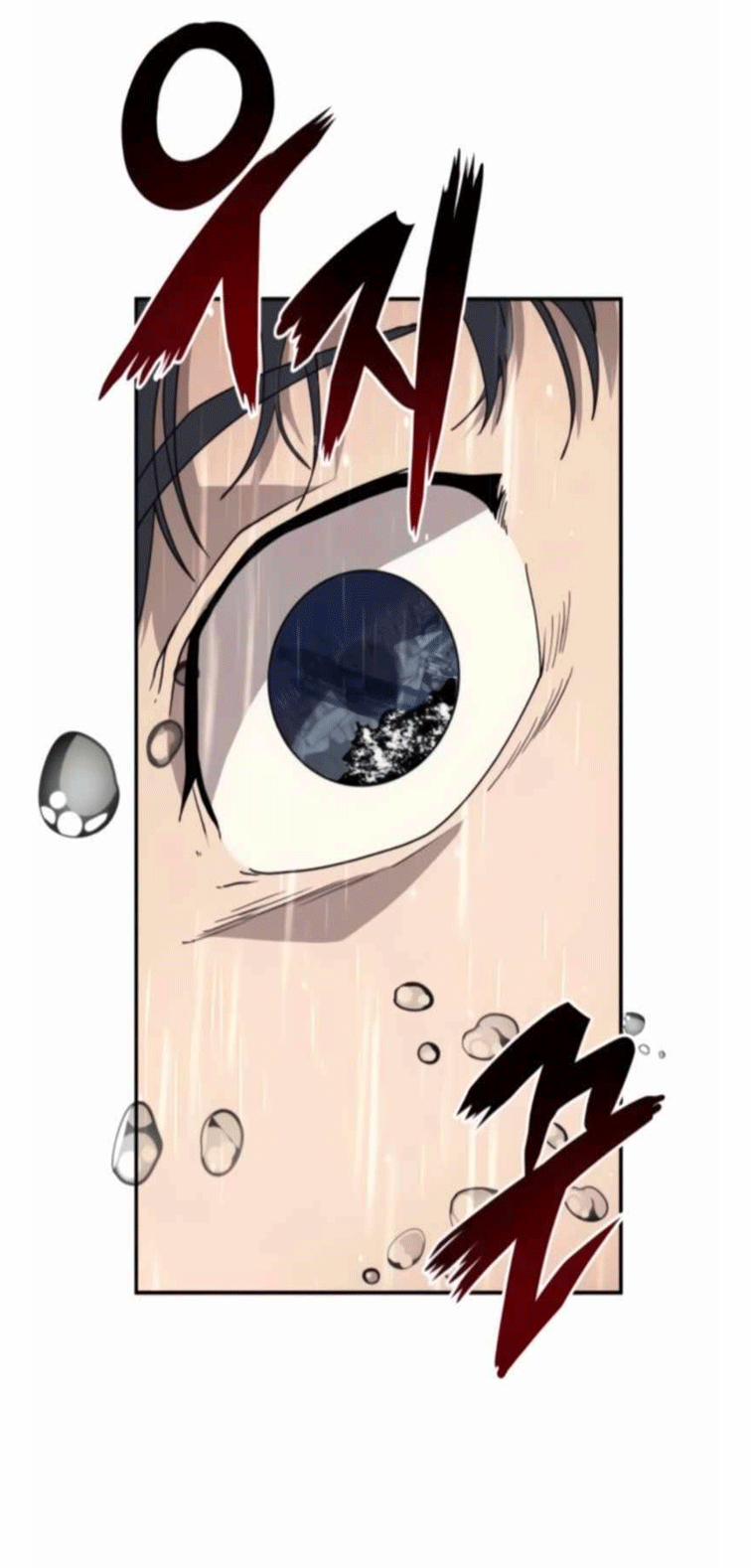 Branacles 3 trang 51