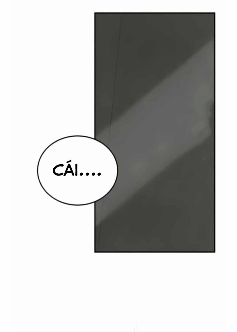 Branacles 3 trang 84