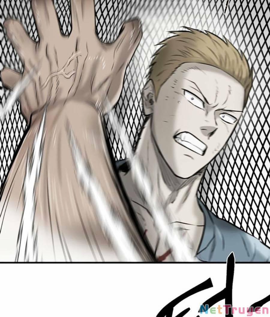 Bù Nhìn 13 trang 118