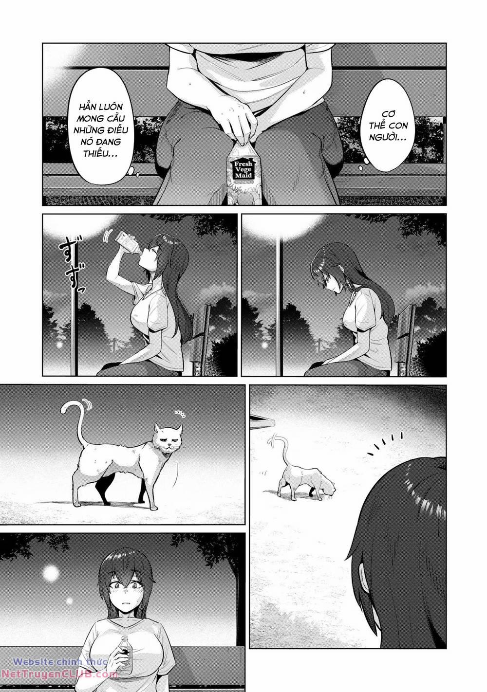 Bữa Ăn Đạm Bạc Của Bà Chị (26) Độc Thân 1 trang 22