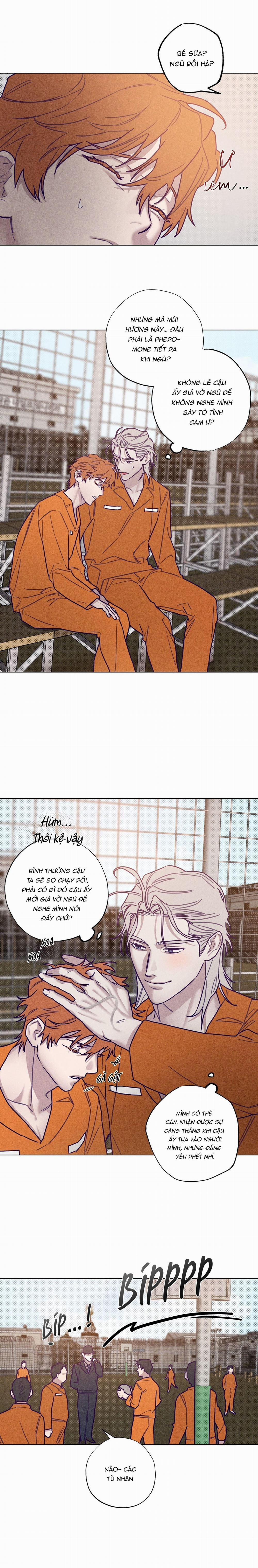 Bữa Sáng Trong Tù 31 trang 1