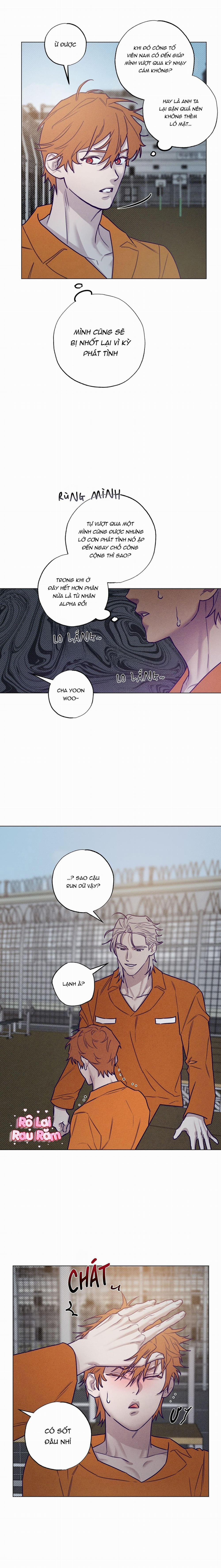 Bữa Sáng Trong Tù 31 trang 10