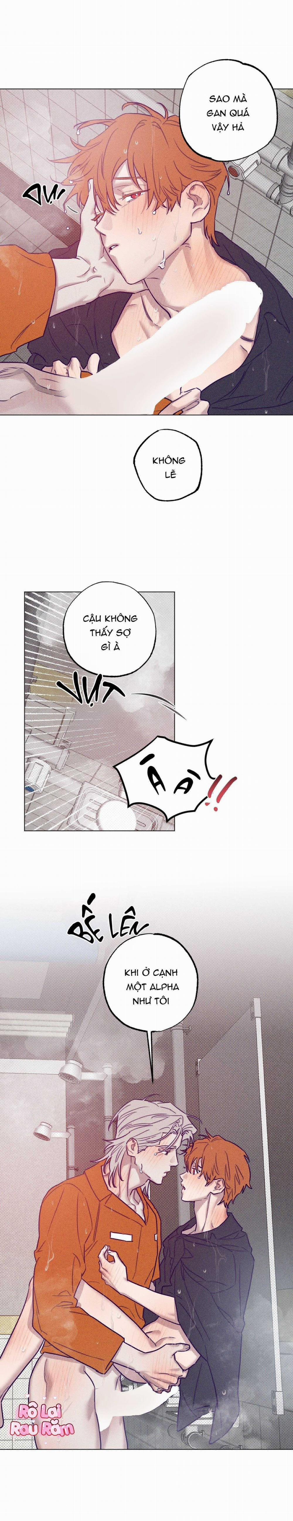 Bữa Sáng Trong Tù 36 trang 5