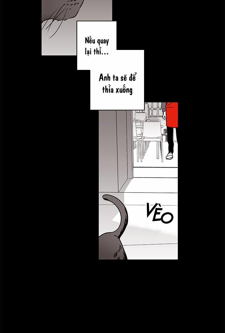 Bữa Tiệc Của Những Đóa Hoa 2 trang 38