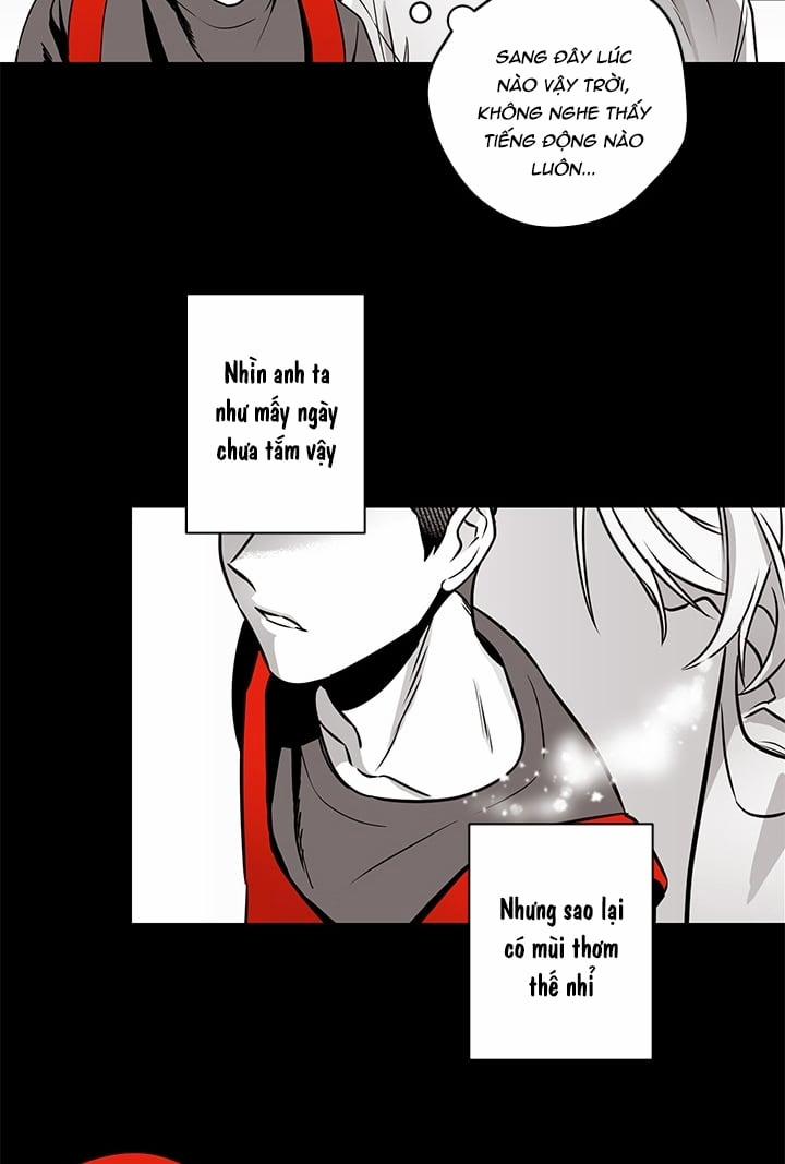 Bữa Tiệc Của Những Đóa Hoa 2 trang 42