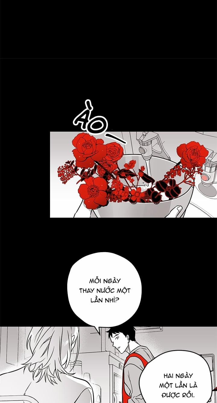 Bữa Tiệc Của Những Đóa Hoa 3 trang 22
