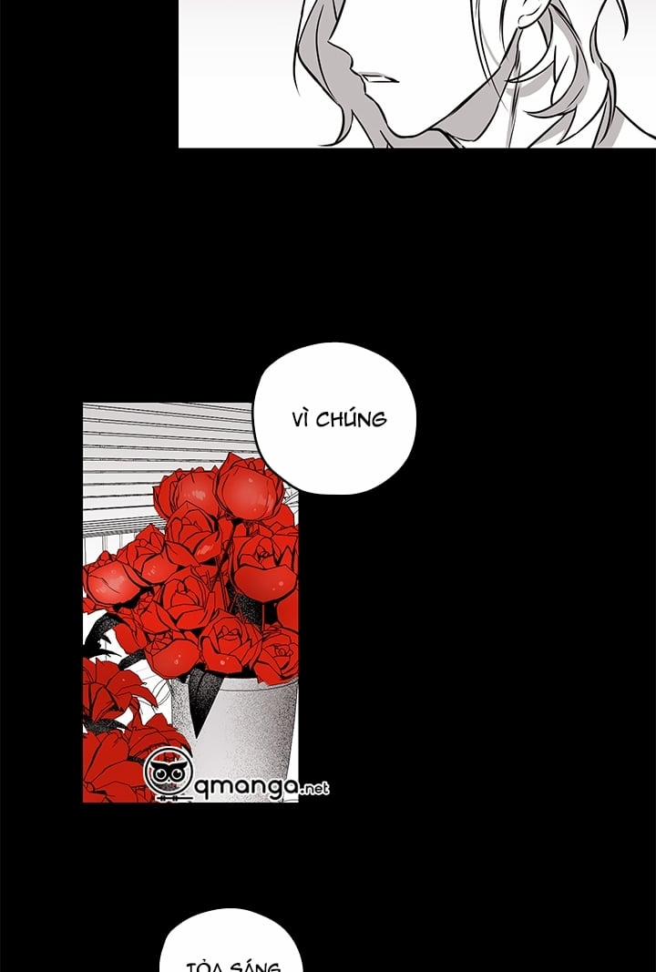 Bữa Tiệc Của Những Đóa Hoa 4 trang 11