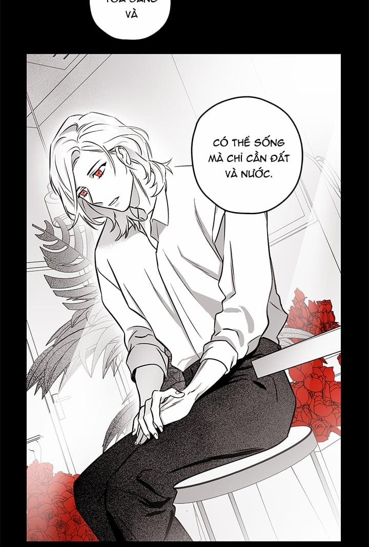 Bữa Tiệc Của Những Đóa Hoa 4 trang 12