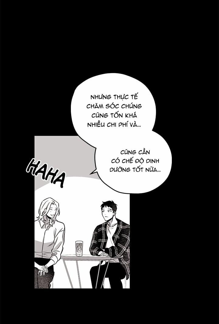 Bữa Tiệc Của Những Đóa Hoa 4 trang 13