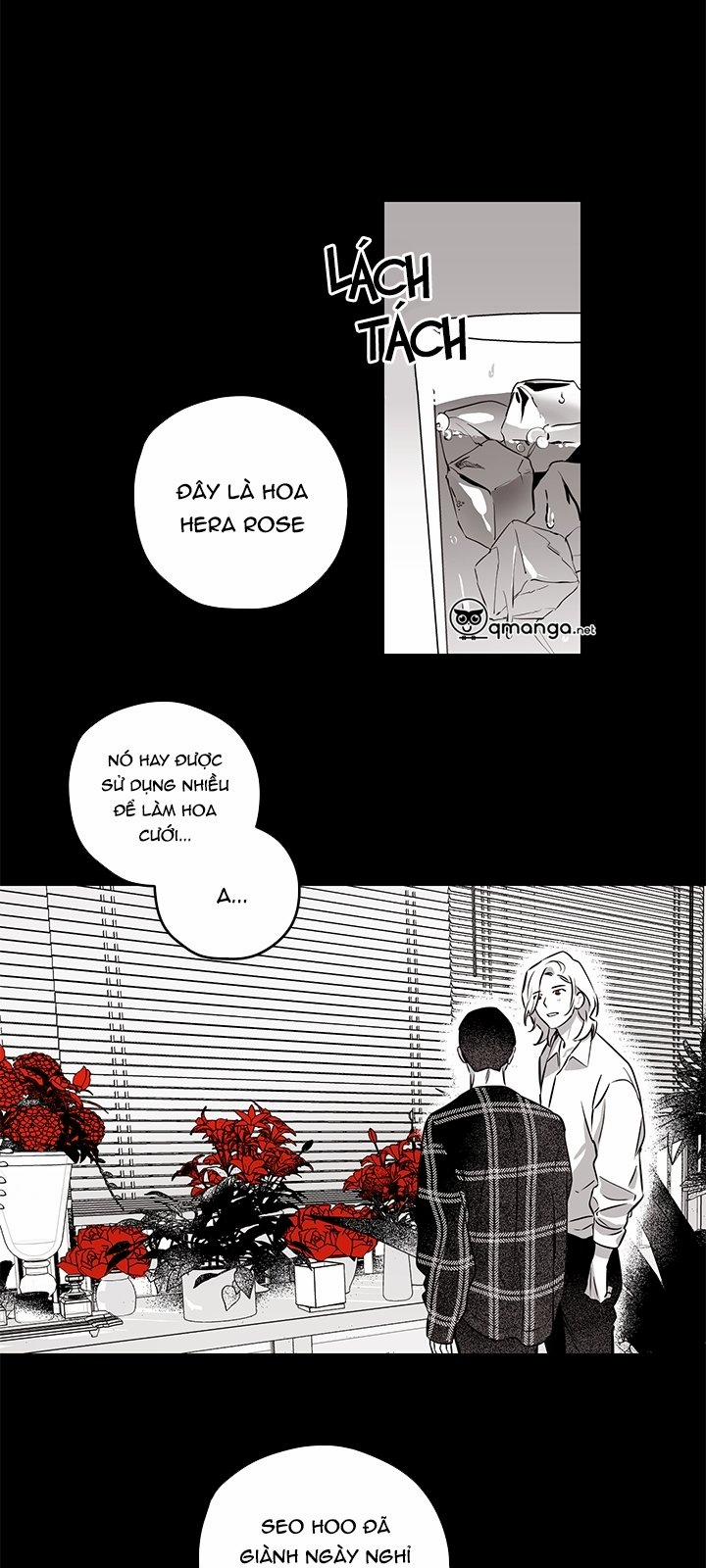 Bữa Tiệc Của Những Đóa Hoa 4 trang 16