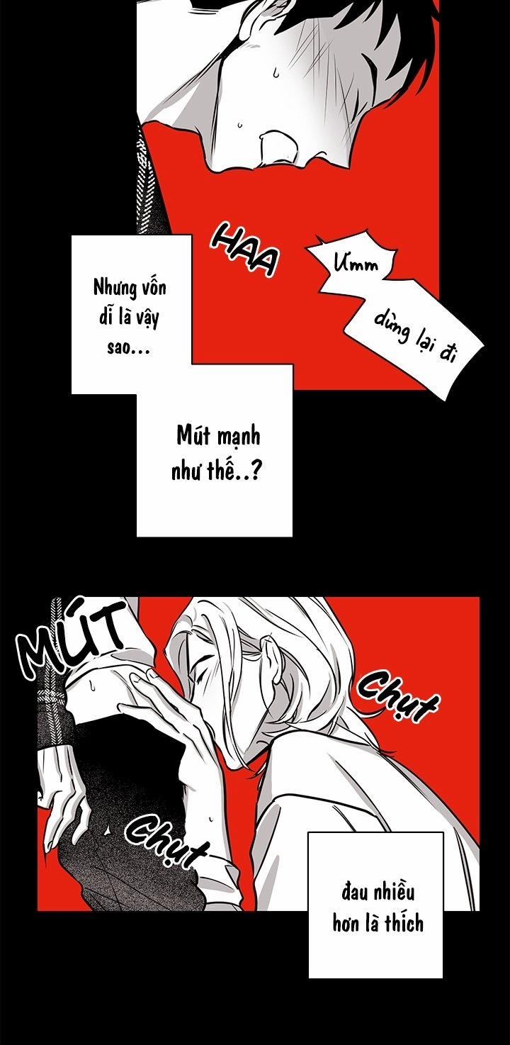 Bữa Tiệc Của Những Đóa Hoa 4 trang 32