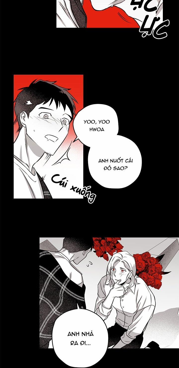 Bữa Tiệc Của Những Đóa Hoa 4 trang 34