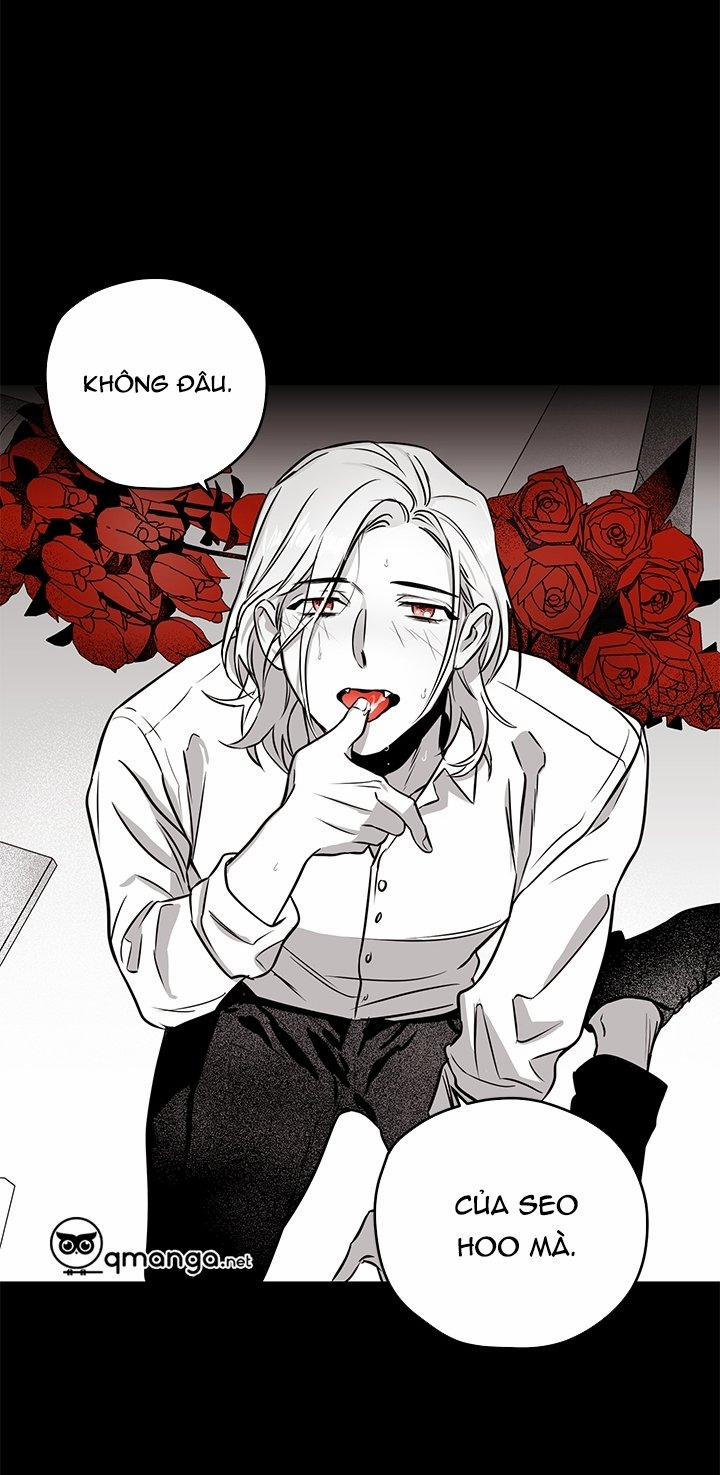 Bữa Tiệc Của Những Đóa Hoa 4 trang 35