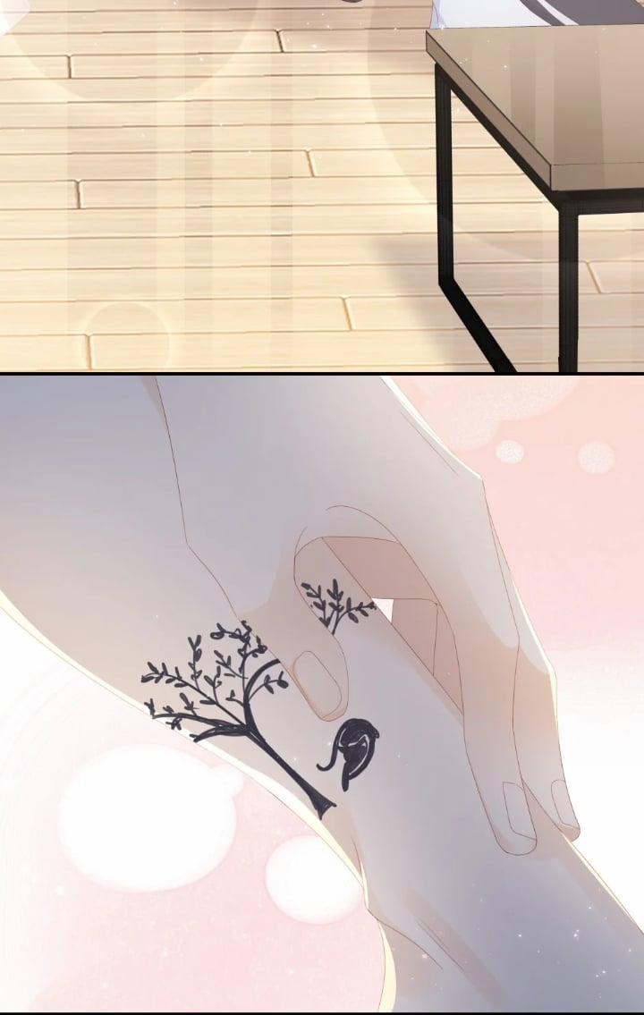 Bùi Bảo 11 trang 40