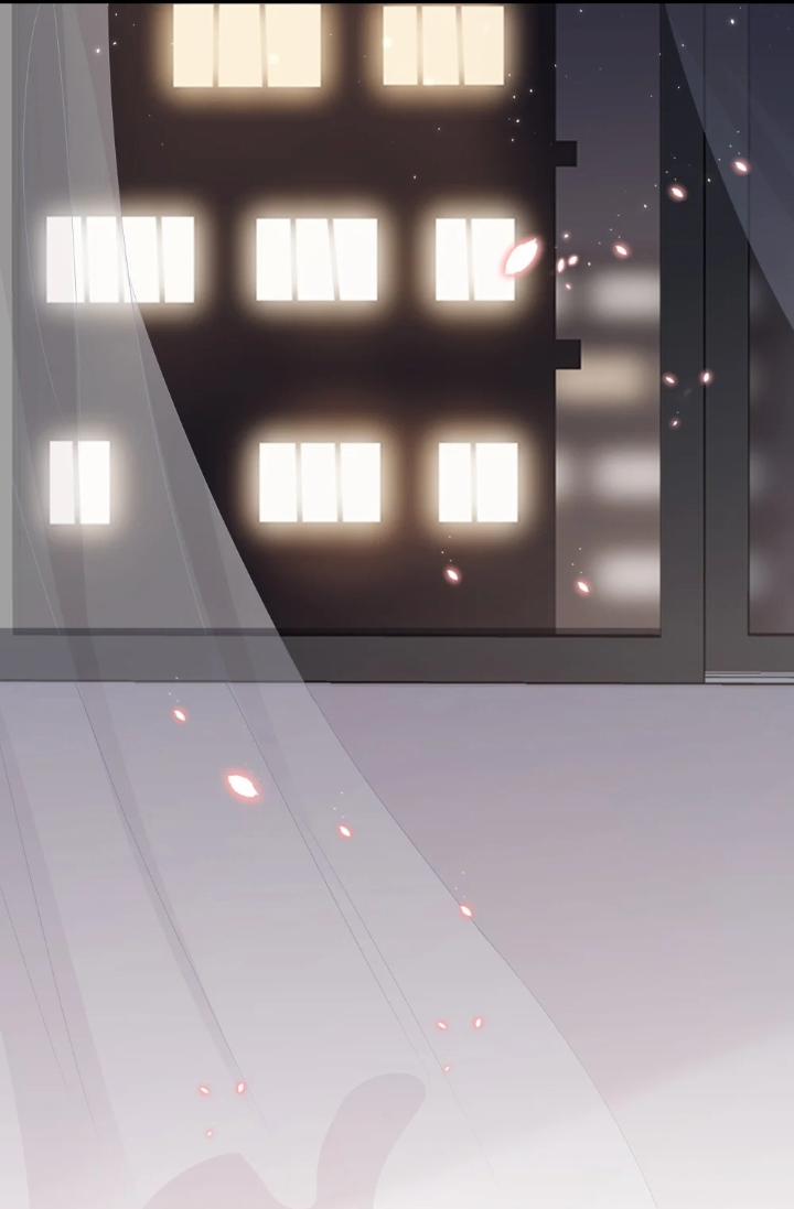 Bùi Bảo 11 trang 41