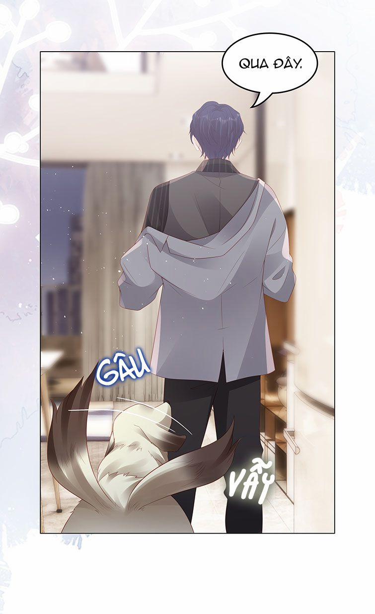 Bùi Bảo 52 trang 41
