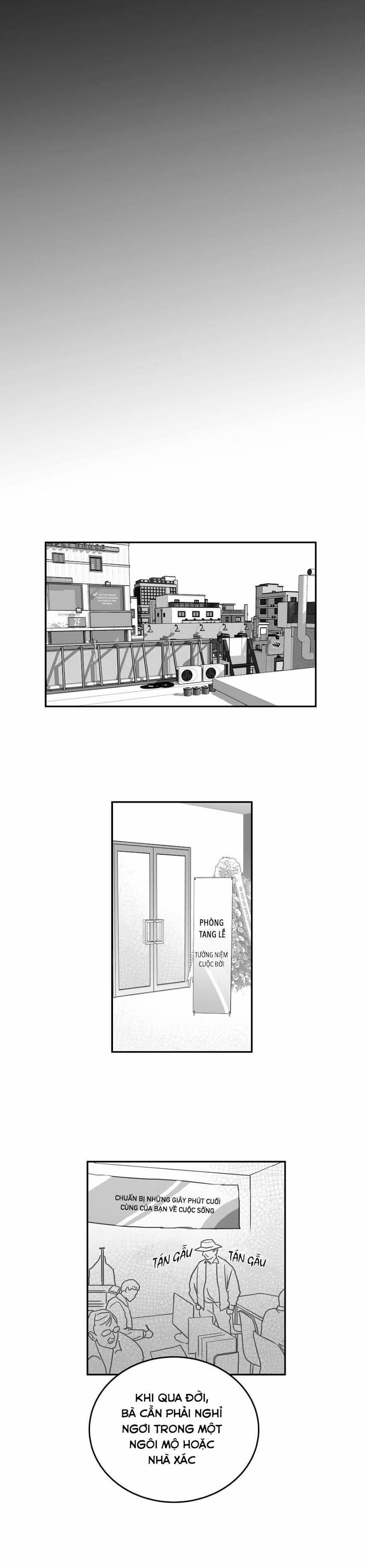 Buộc Trở Thành Kẻ Ngốc 6 trang 12