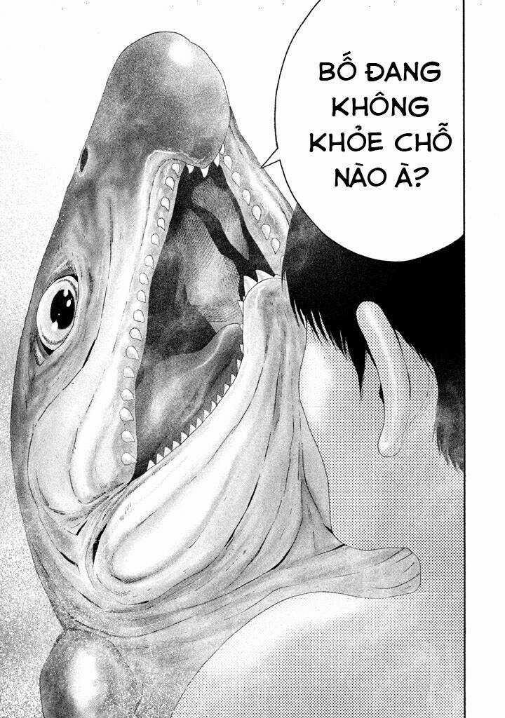 Cá Hồi 16 trang 16