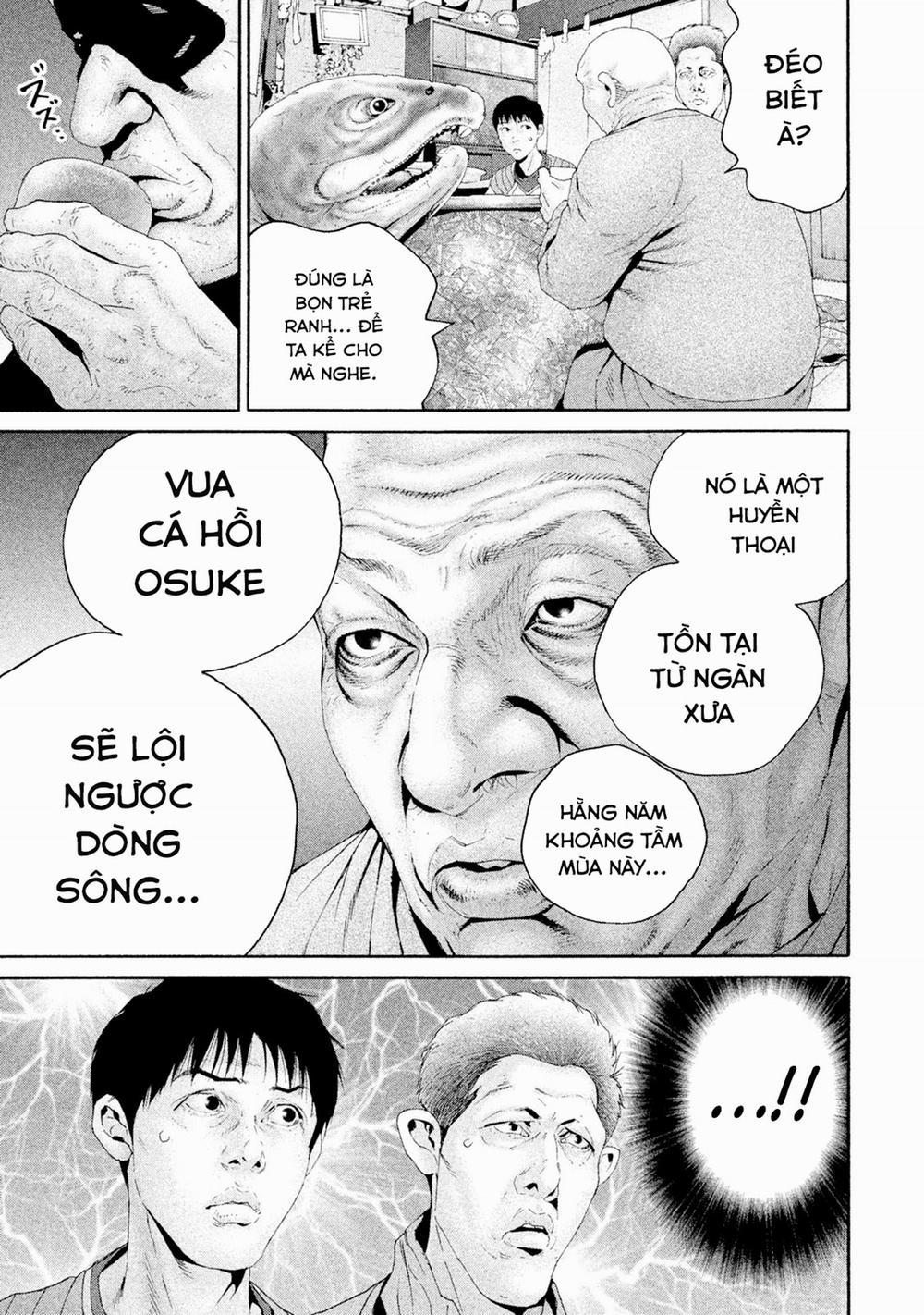 Cá Hồi 6 trang 13