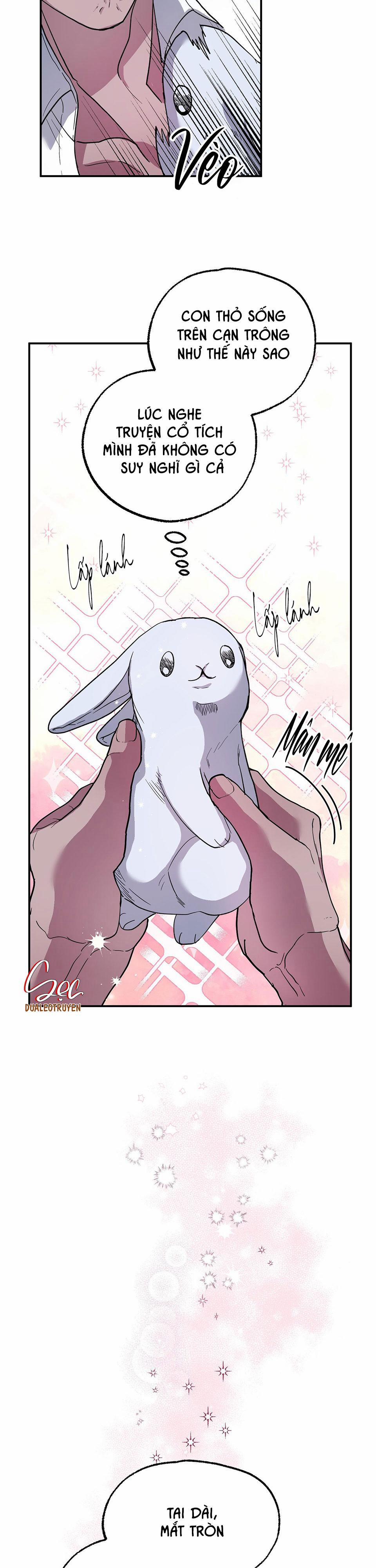 CÁ MẬP VÀ CÔ DÂU THỎ 1 trang 10