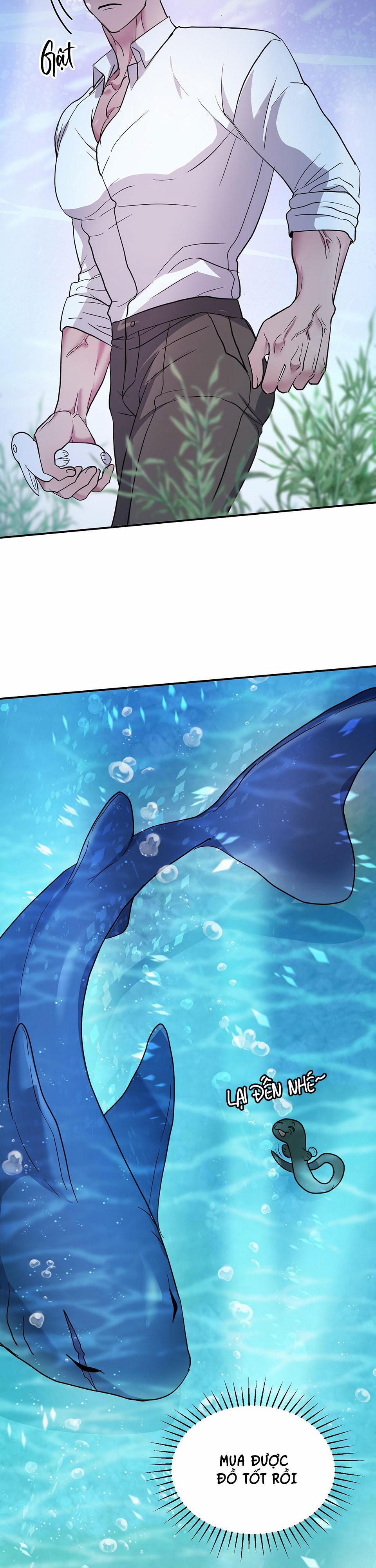 CÁ MẬP VÀ CÔ DÂU THỎ 1 trang 14