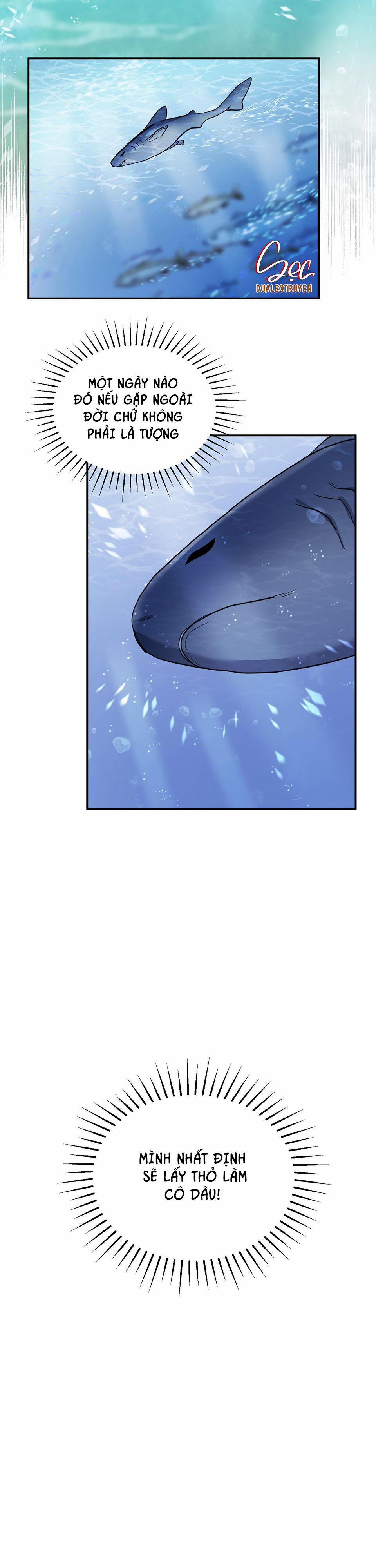 CÁ MẬP VÀ CÔ DÂU THỎ 1 trang 15