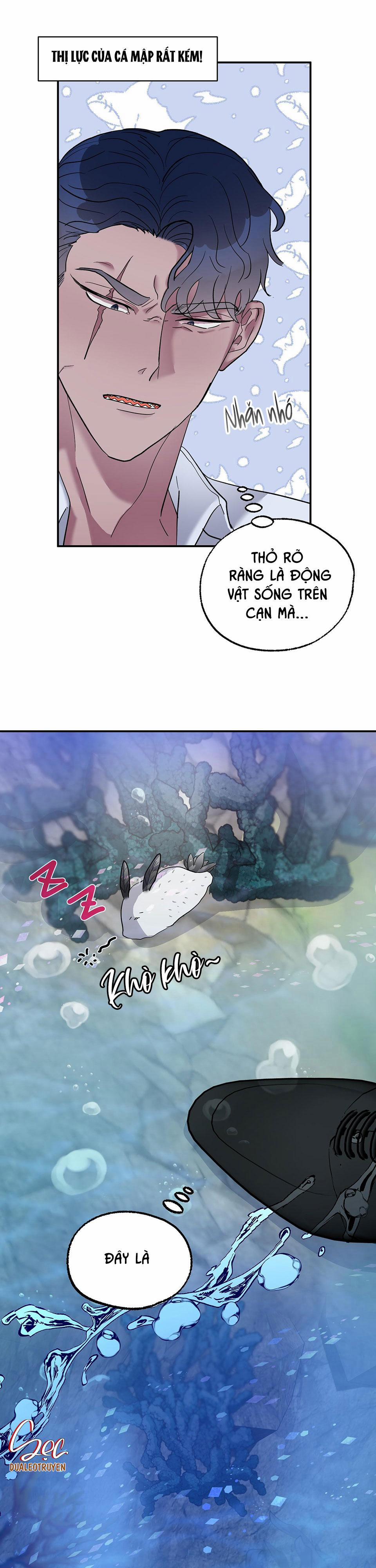 CÁ MẬP VÀ CÔ DÂU THỎ 1 trang 16