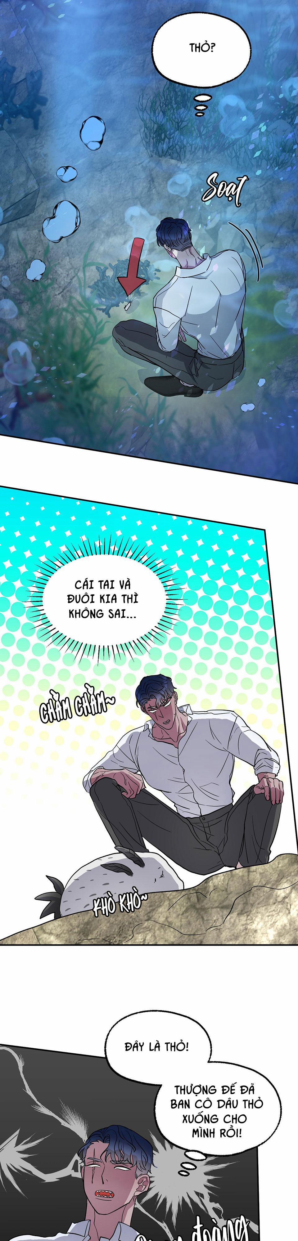 CÁ MẬP VÀ CÔ DÂU THỎ 1 trang 17