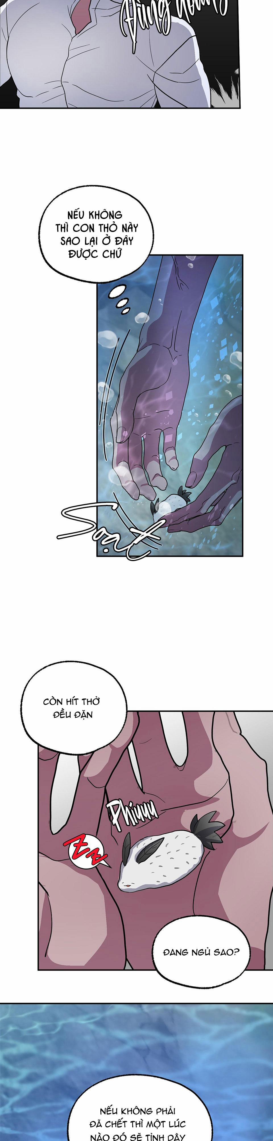 CÁ MẬP VÀ CÔ DÂU THỎ 1 trang 18