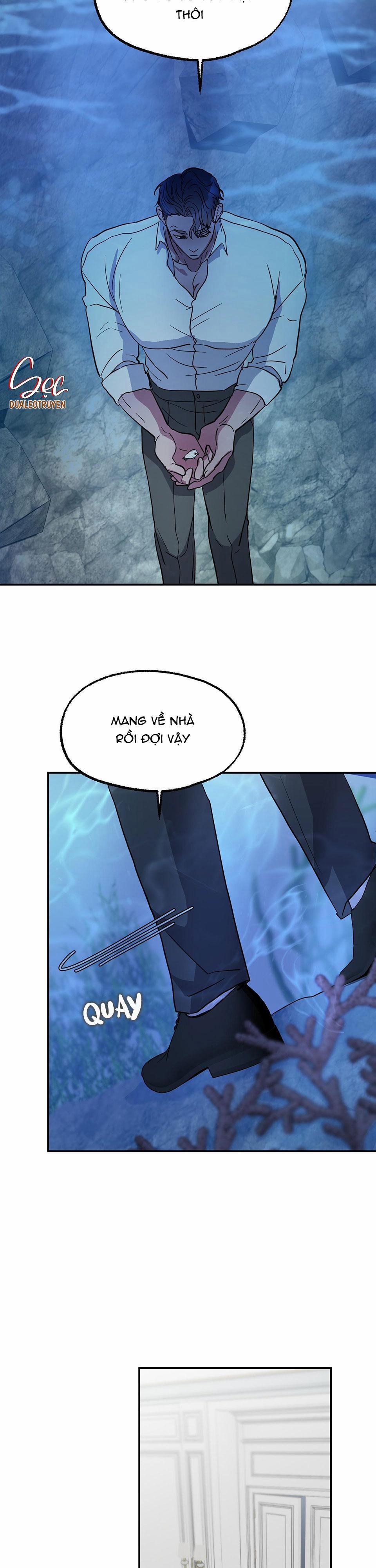 CÁ MẬP VÀ CÔ DÂU THỎ 1 trang 19