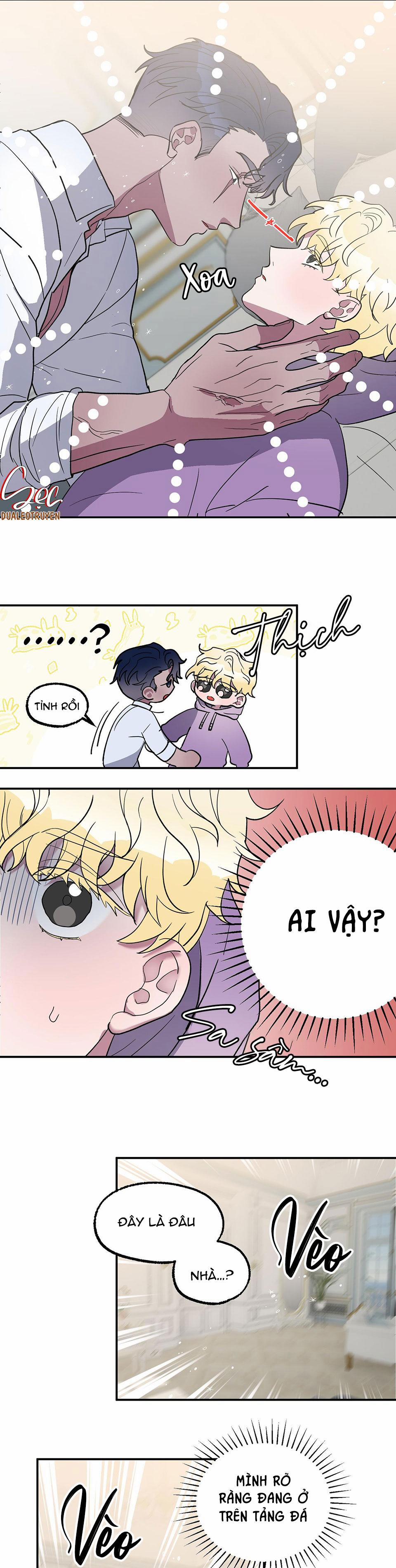 CÁ MẬP VÀ CÔ DÂU THỎ 1 trang 25