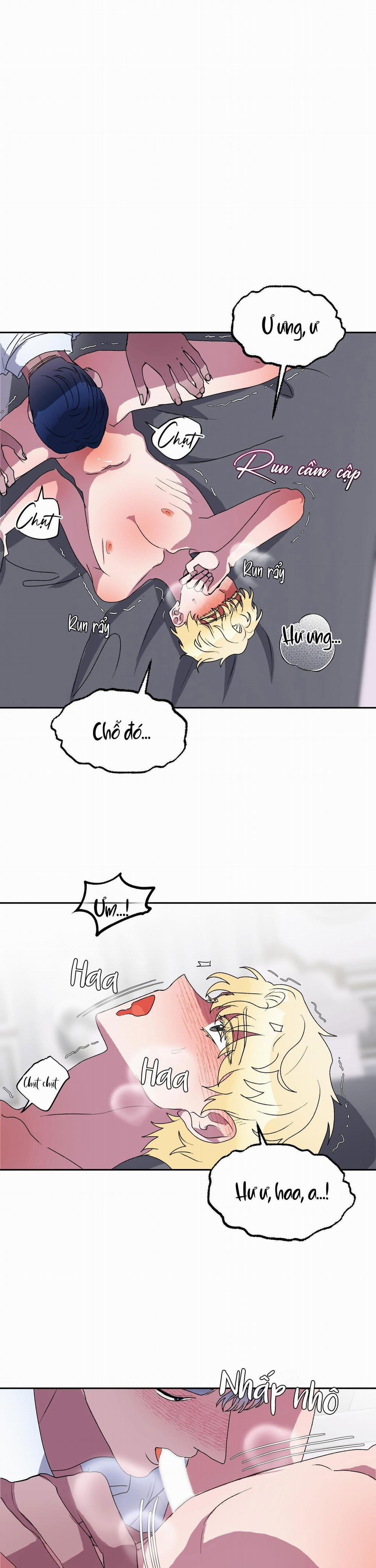 CÁ MẬP VÀ CÔ DÂU THỎ 11 trang 9