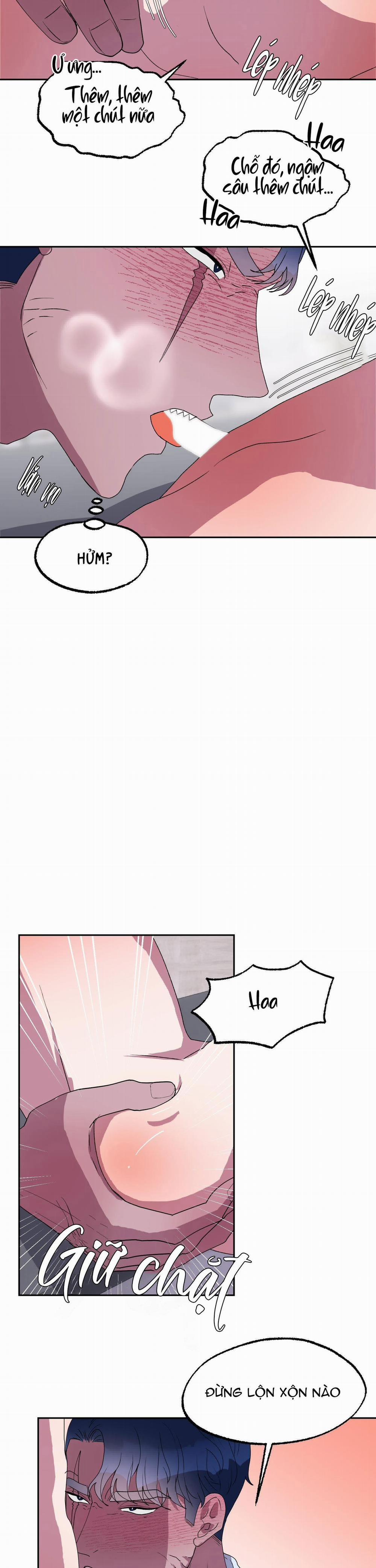 CÁ MẬP VÀ CÔ DÂU THỎ 11 trang 10