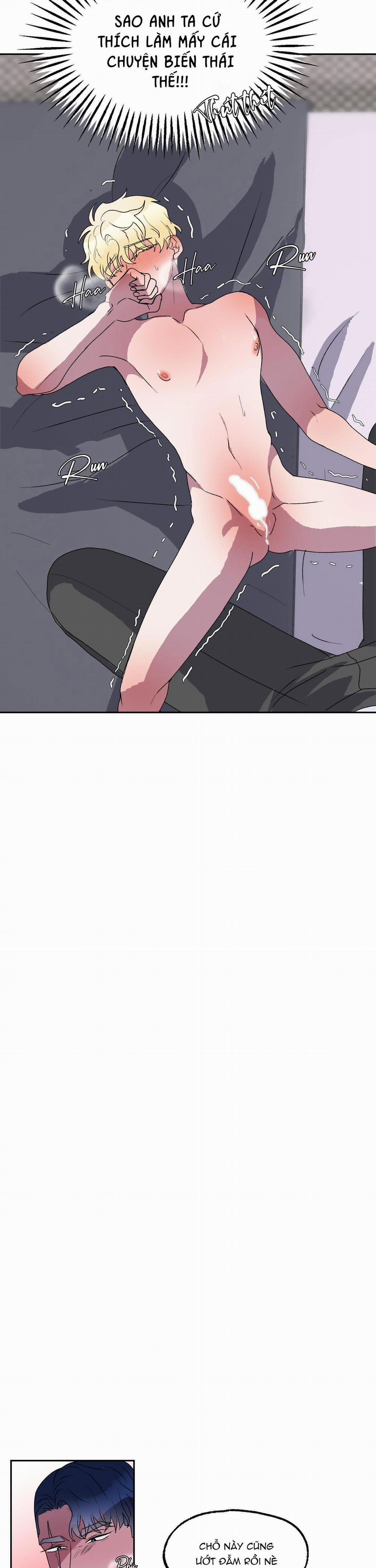 CÁ MẬP VÀ CÔ DÂU THỎ 11 trang 13