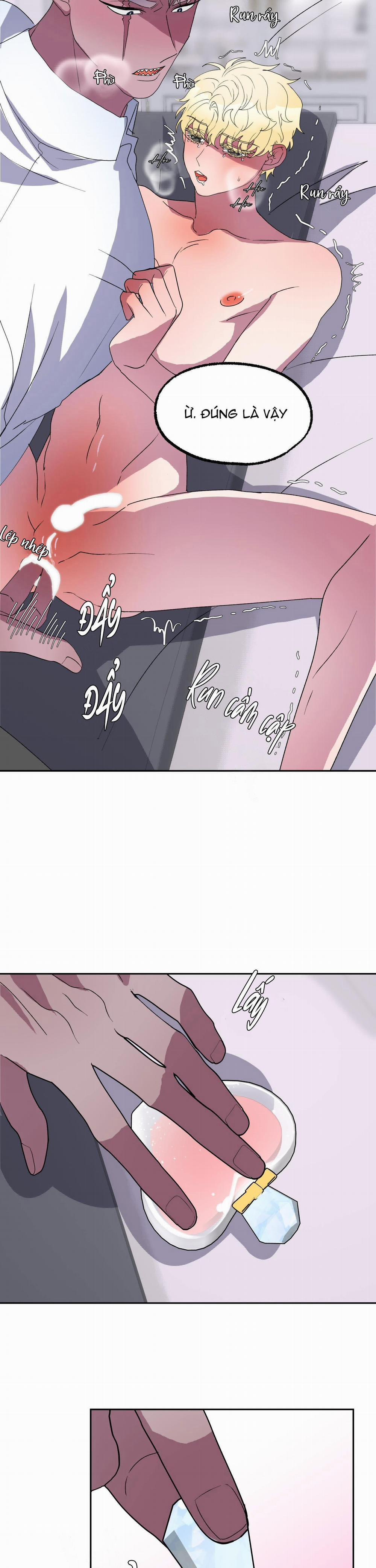 CÁ MẬP VÀ CÔ DÂU THỎ 11 trang 15