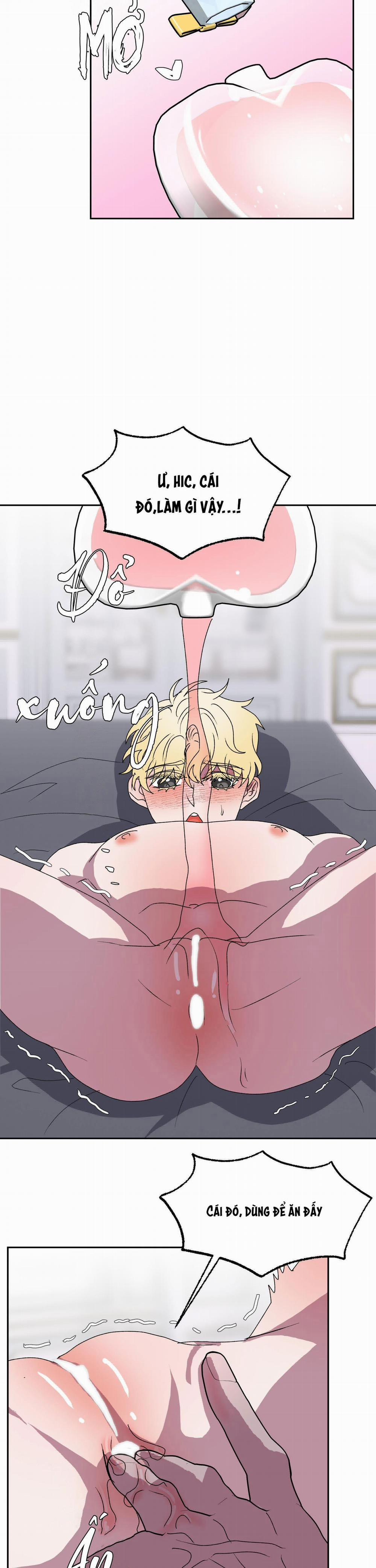 CÁ MẬP VÀ CÔ DÂU THỎ 11 trang 16