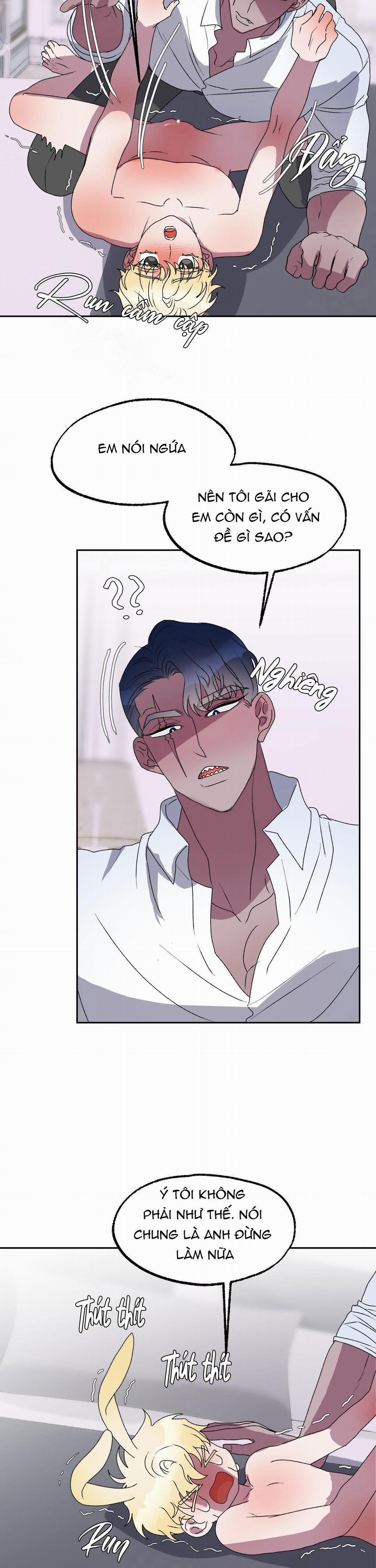 CÁ MẬP VÀ CÔ DÂU THỎ 11 trang 19