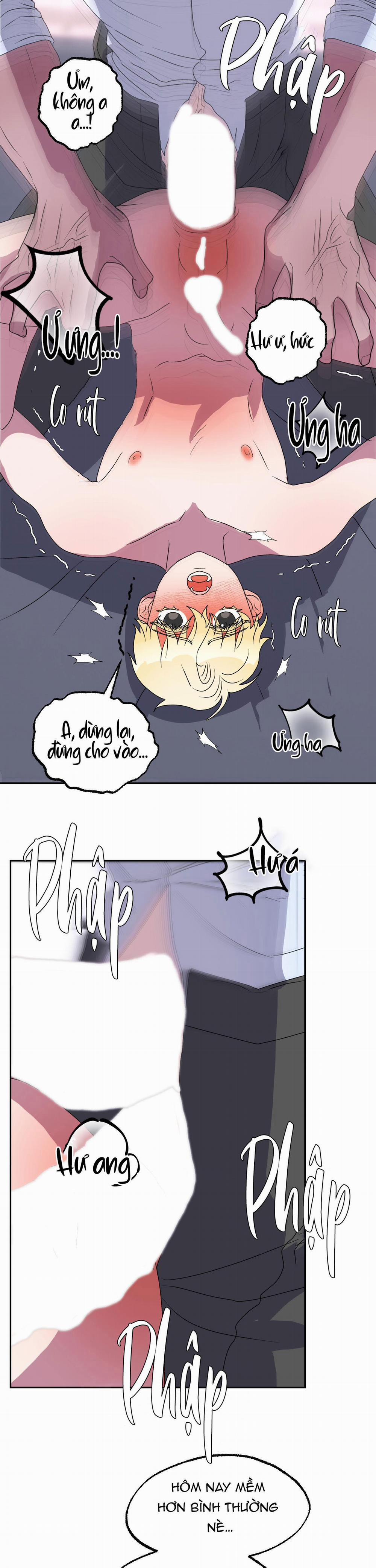 CÁ MẬP VÀ CÔ DÂU THỎ 11 trang 22