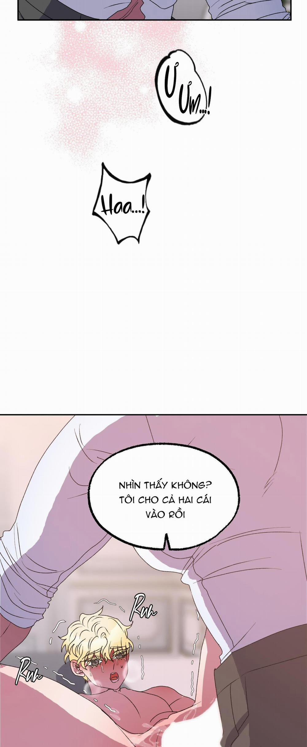 CÁ MẬP VÀ CÔ DÂU THỎ 12 trang 10