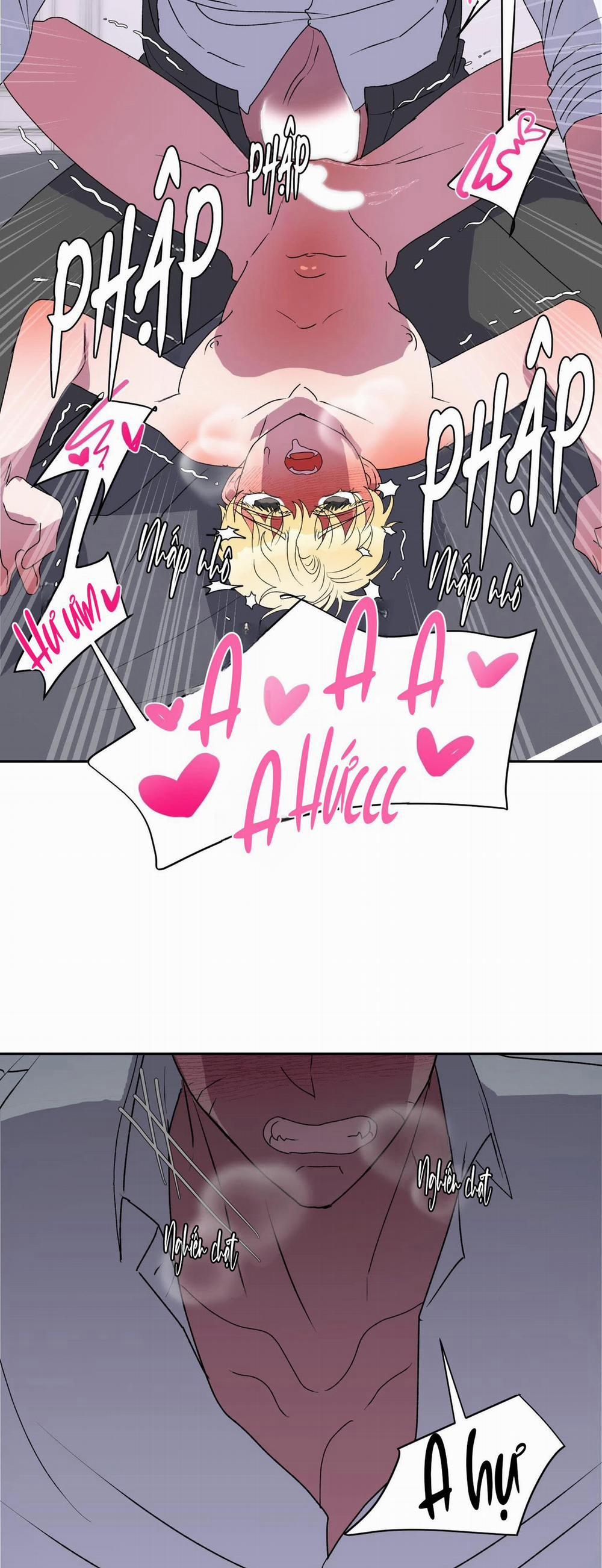 CÁ MẬP VÀ CÔ DÂU THỎ 12 trang 35