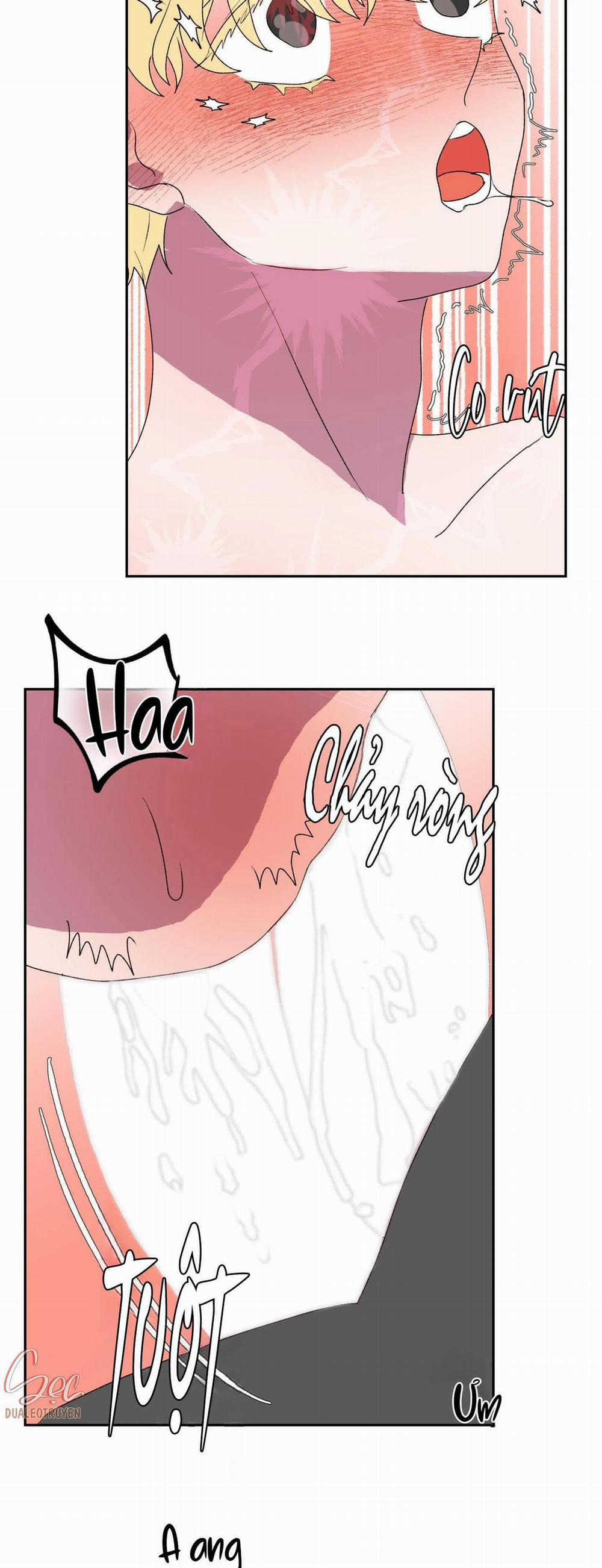 CÁ MẬP VÀ CÔ DÂU THỎ 12 trang 38