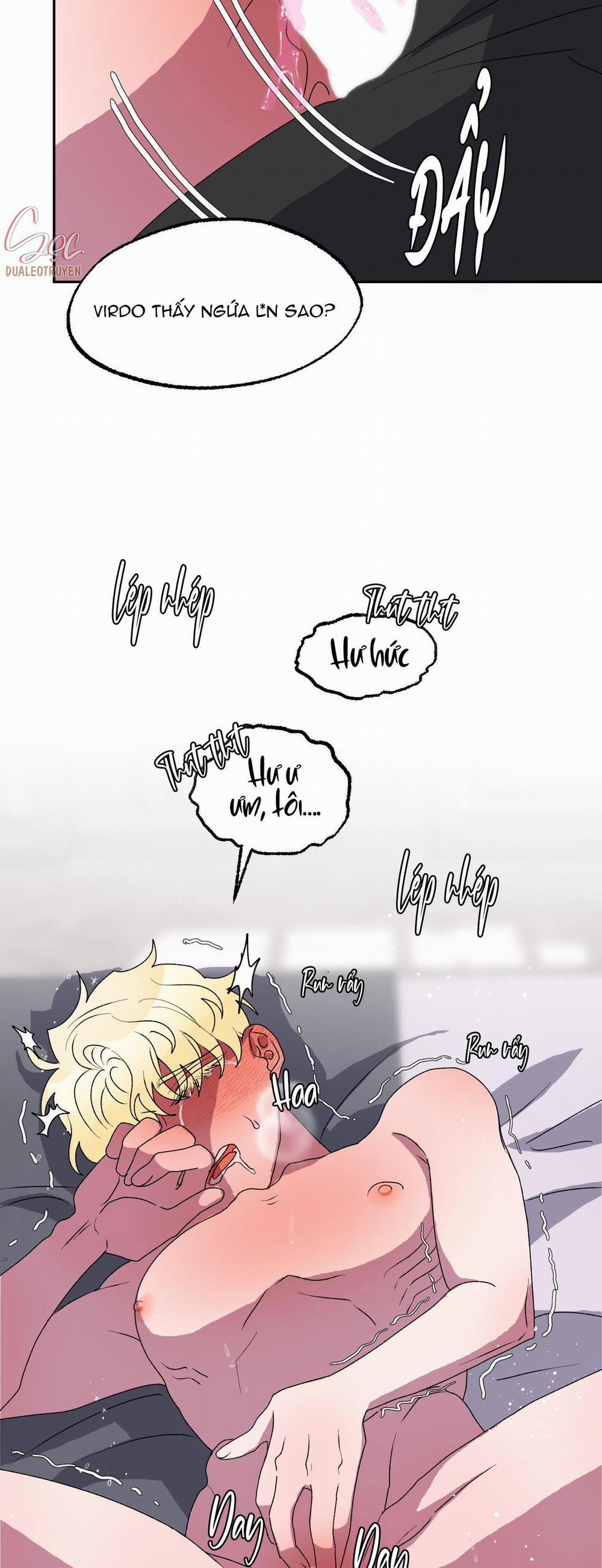 CÁ MẬP VÀ CÔ DÂU THỎ 12 trang 3