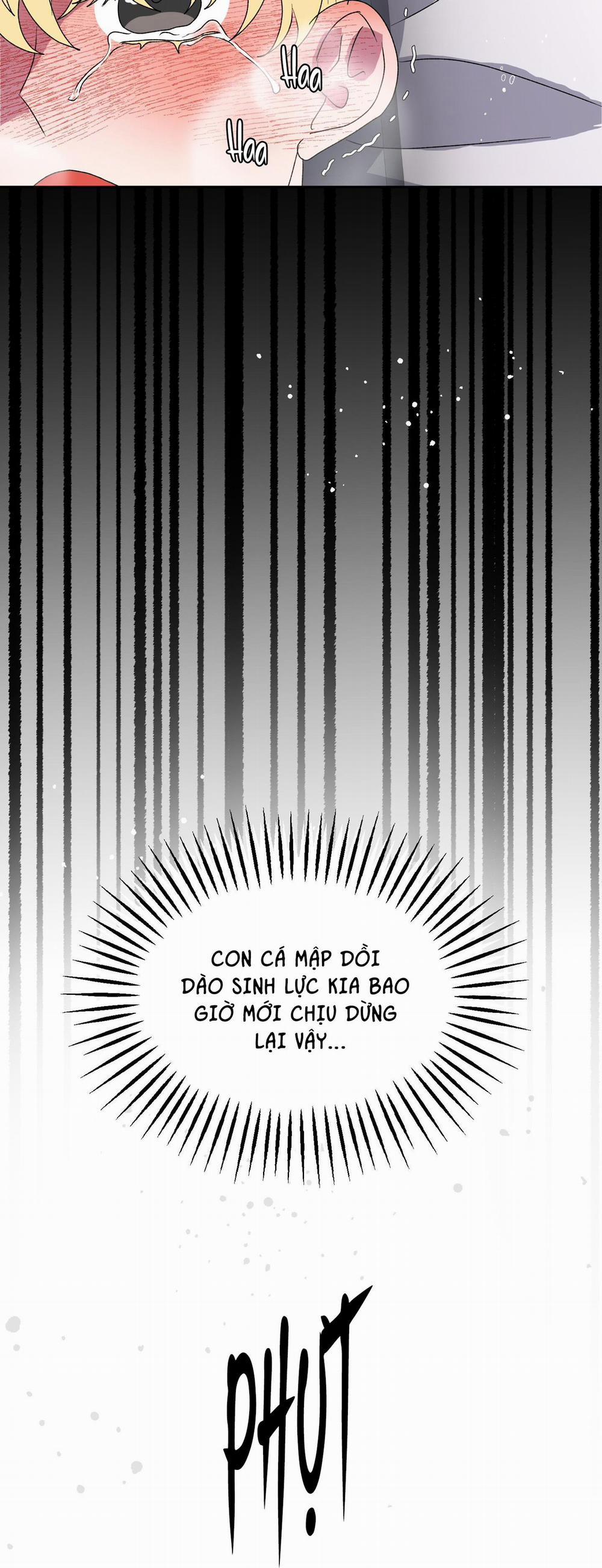 CÁ MẬP VÀ CÔ DÂU THỎ 12 trang 41