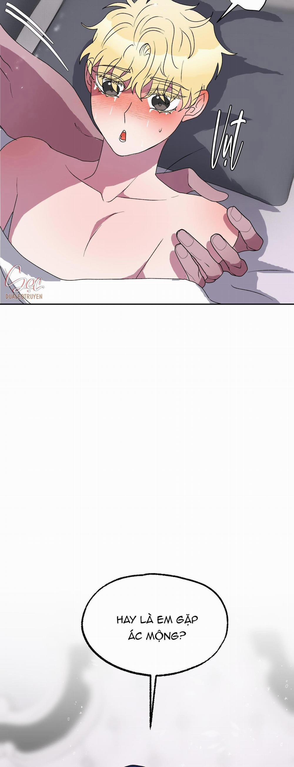 CÁ MẬP VÀ CÔ DÂU THỎ 12 trang 47