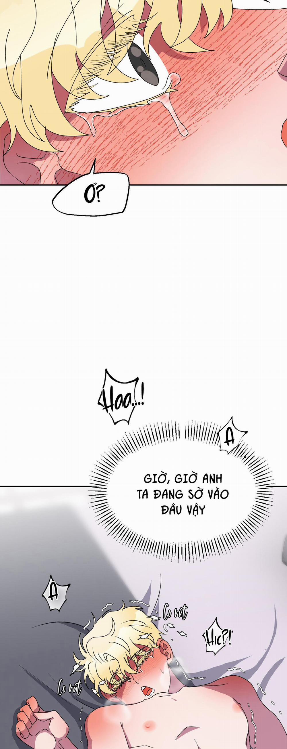 CÁ MẬP VÀ CÔ DÂU THỎ 12 trang 5