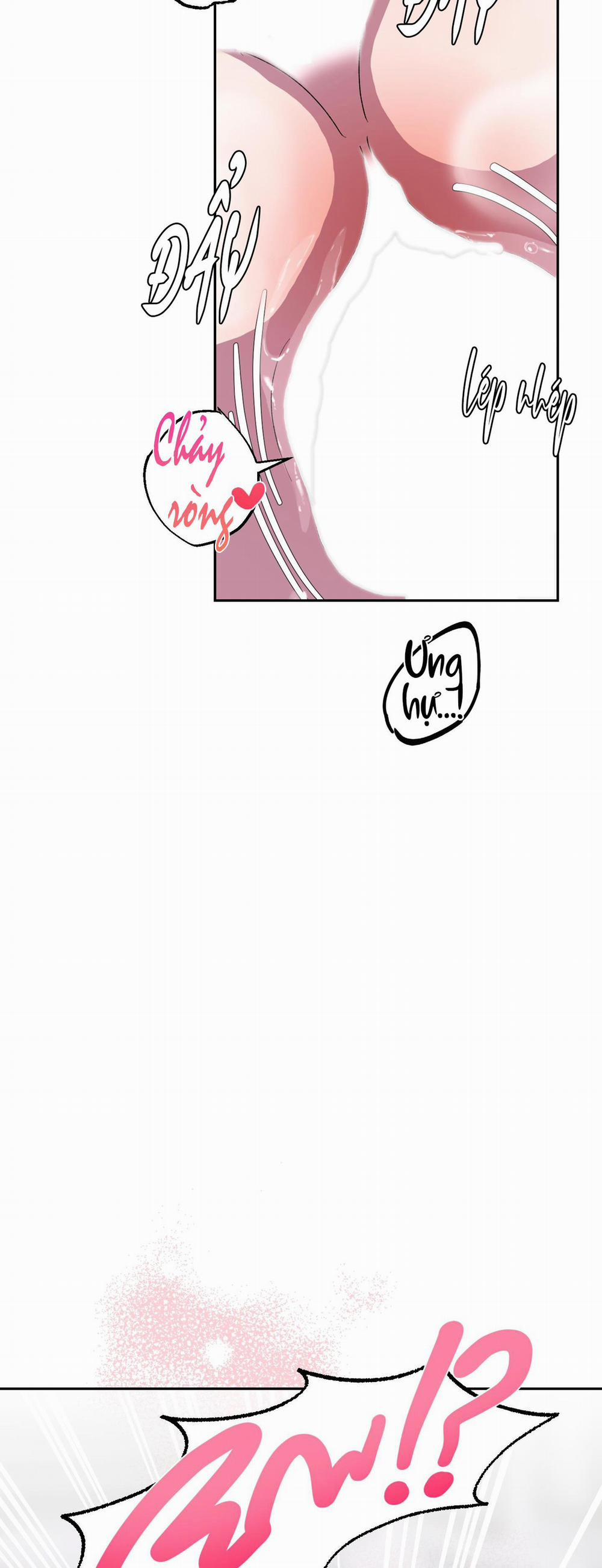 CÁ MẬP VÀ CÔ DÂU THỎ 12 trang 7