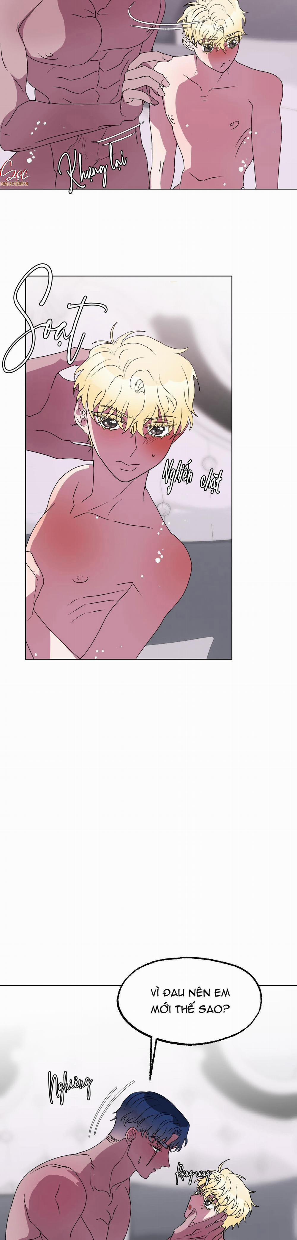 CÁ MẬP VÀ CÔ DÂU THỎ 13 trang 1