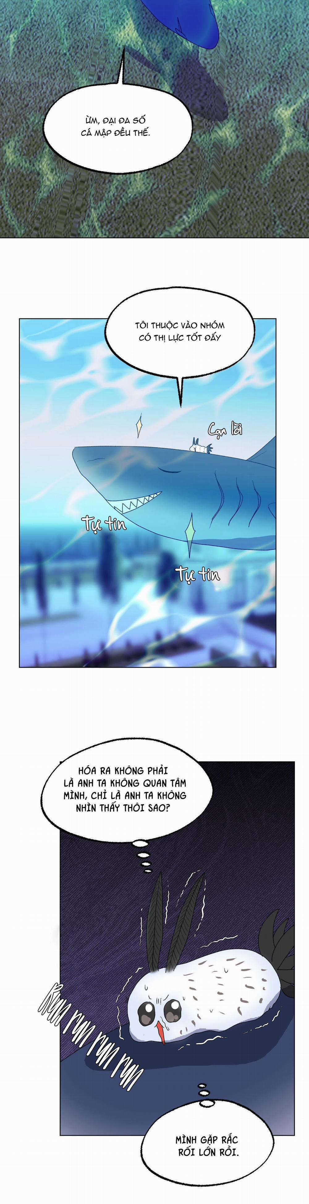 CÁ MẬP VÀ CÔ DÂU THỎ 14 trang 19